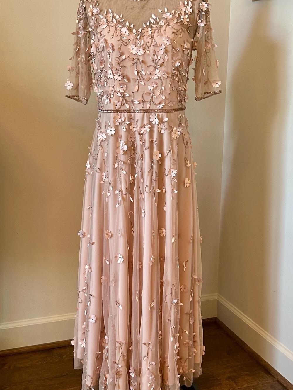Pisarro Nights Blush Floral Appliqué Maxi Dress